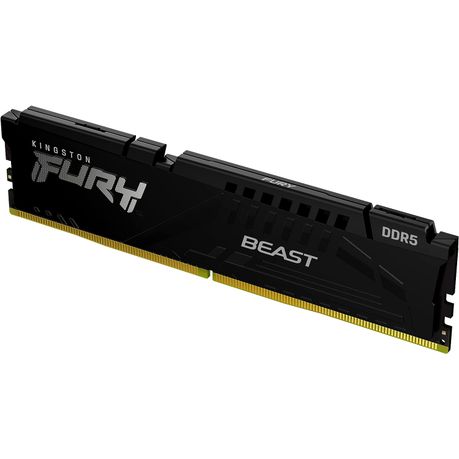 Kingston FURY Beast
