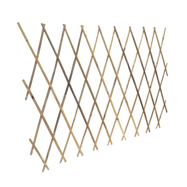 Trellis Bamboo Expanding Eco-Friendly