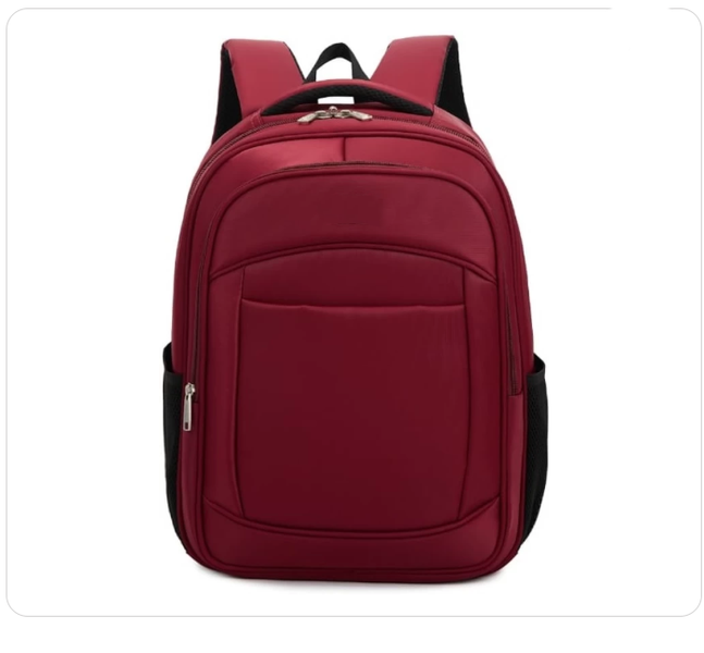 SamMag Biz Laptop Backpack School Bag with Multiple Compartments