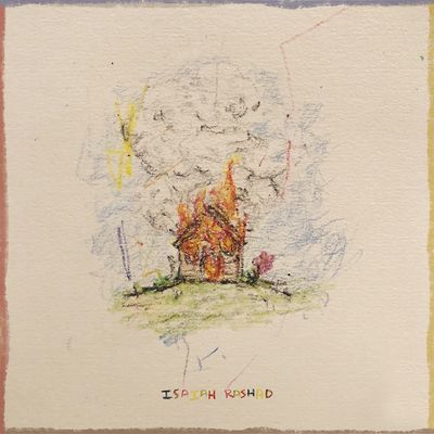 The House Is Burning (Vinyl / 12" Album)