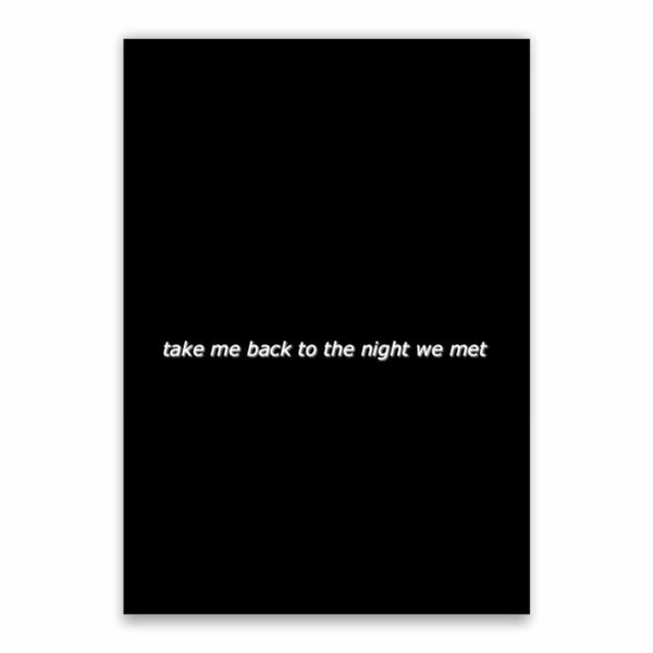 Take Me Back To The Night We Met Poster - A1