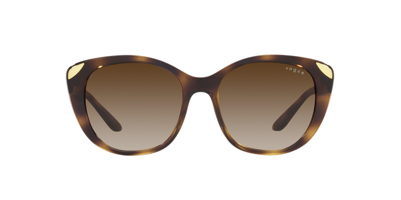 Vogue VO5457S Sunglasses VO5457S W65613 53