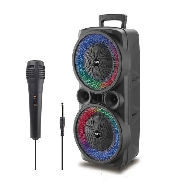dual 8Inch portable battery speaker with Mircrophone RX-8285W
