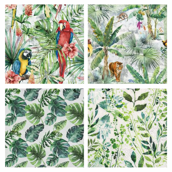 Tropical - Pack of 4