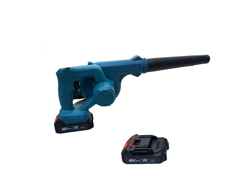 Multifunctional Portable Handheld Lithium-ion Dust Remover Hair Dryer 800W