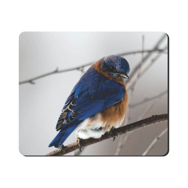 Mouse Pad - Blue Bird In Snow