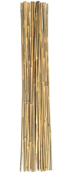 Quality Bamboo Canes Plant Support Sticks - Pack of 10