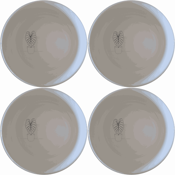 Alocasia Zebrina Bowl Set of 4 - Range 4