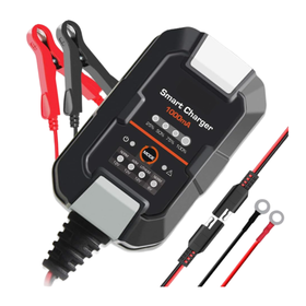 12V Lithium Car Battery Charger Q-DP077 | Shop Today. Get it Tomorrow ...