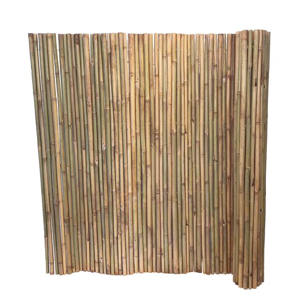 Bamboo Fencing Tonkin Cane - Natural