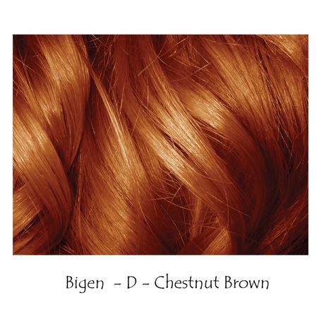 Bigen Powder Hair Dye 2 Piece - Chestnut Brown - Paris | Buy Online in  South Africa 