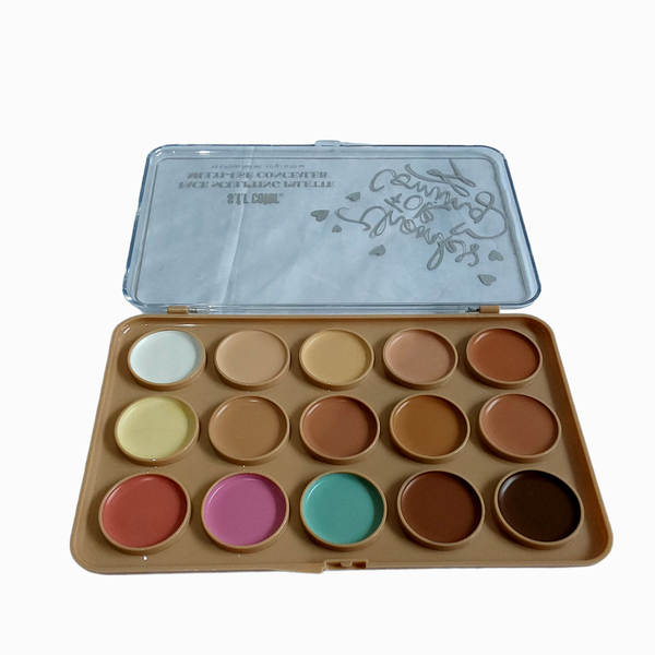 Multi-Use Concealer Palette