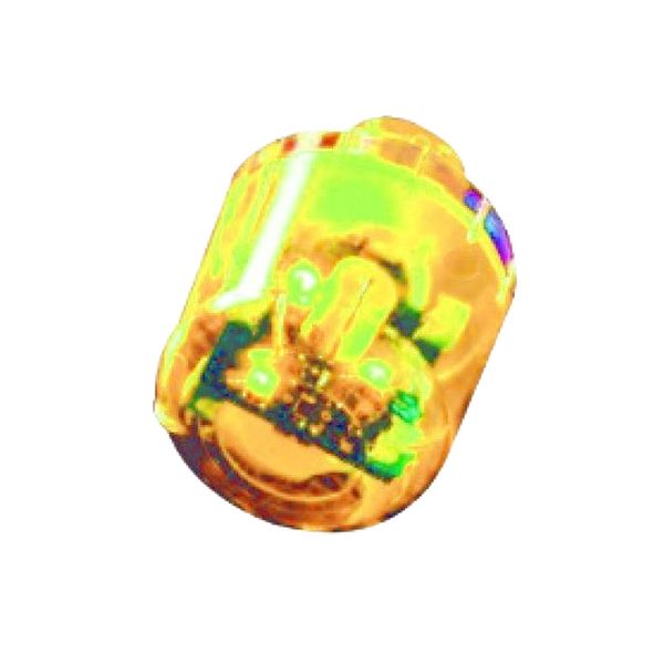 Auer Signal - 24VAC/DC Flashing LED Yellow