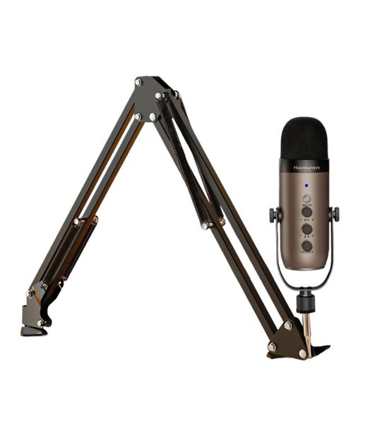 USB Professional Studio Microphone With Adjustable Boom Arm - Black &amp; Gold