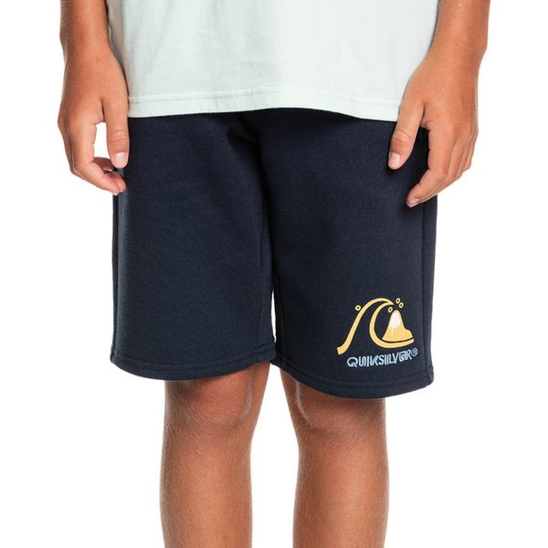 Quiksilver Boys Easy Day Track Shorts