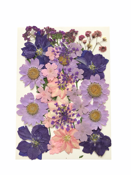 Dried _ Pressed Flowers - Purple &amp; Pink Small