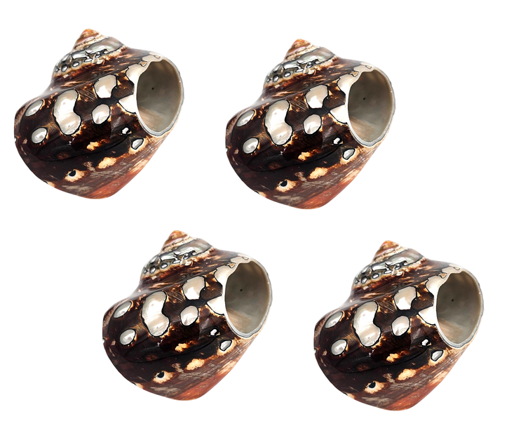 Serviette Napkin Ring Shell Holders Set of Four - 5cm x 6cm Each Shell
