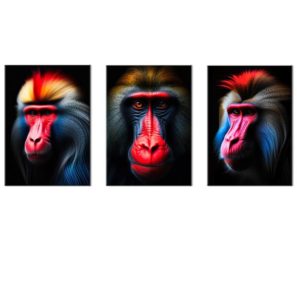 Canvas-Art-3 Pieces Red Face Baboon Animals Wall Art