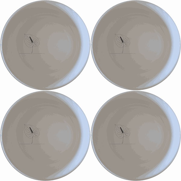Anthurium Clarinervium Bowl Set of 4 - Range 4