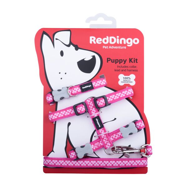 Red Dingo - Design Starter Puppy Kit