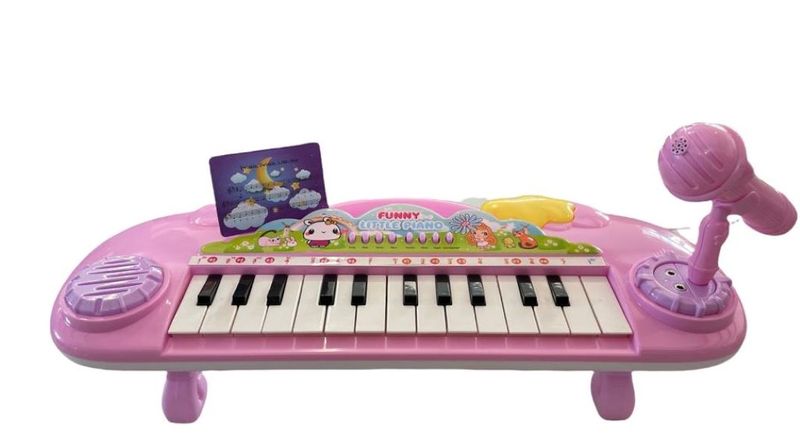 Electronic Organ Piano