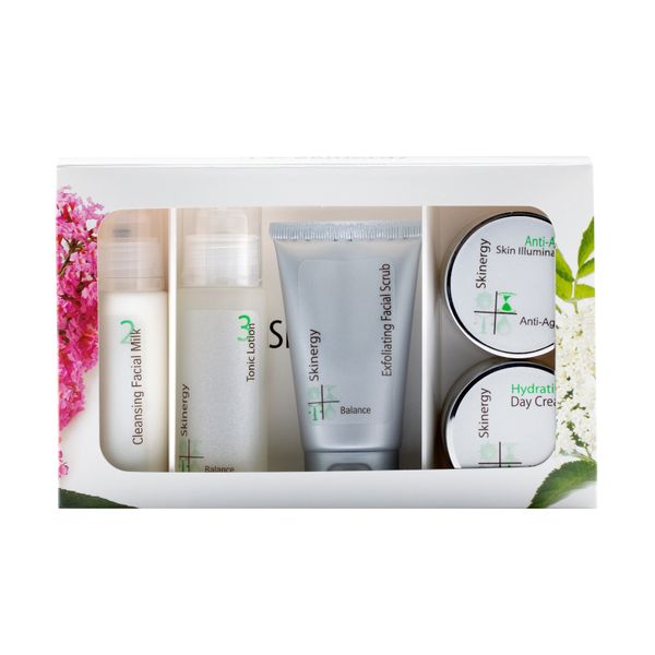 Skinergy Skin Brightening Travel Kit