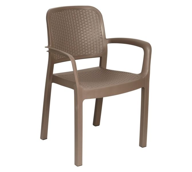 Gold Sun Protea Arm Chair Cappuccino
