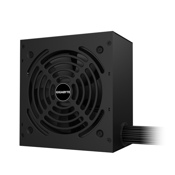 Gigabyte P650G Gold Certified Computer Power Supply