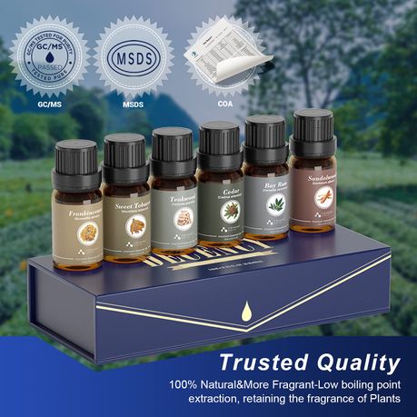 Gentlemen's Set Of 6 X10ml Premium Grade Fragrance Essential Oil Gift Set 