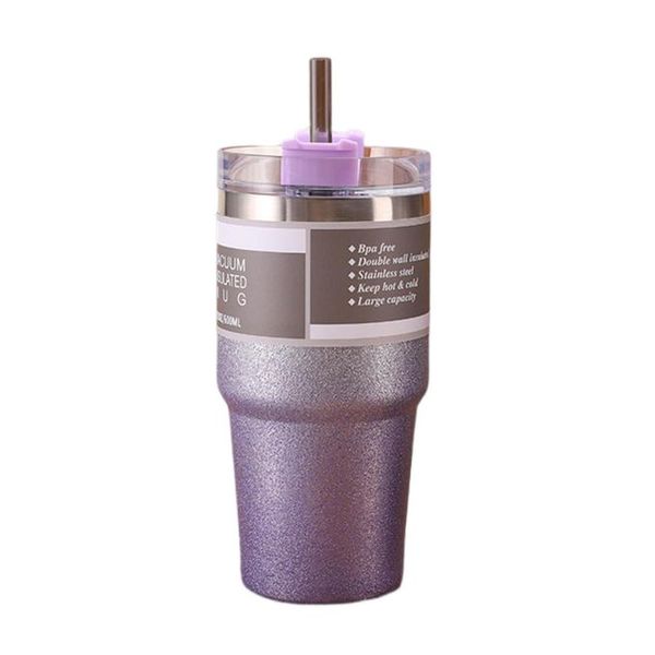 Stainless Steel Glitter Insulated Bottle - 620m