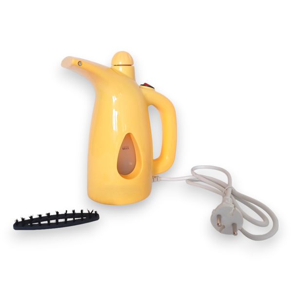 Multifunctional Garment Steamer