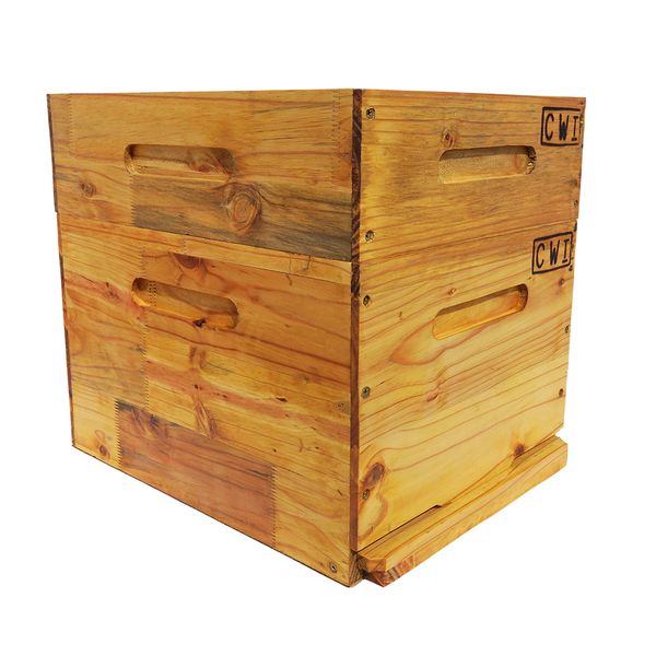 Standard Beehive with wax starter strips