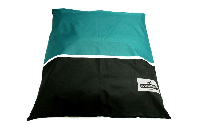 Catching Some ZZZs Cushion