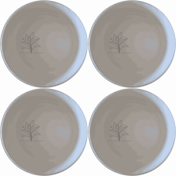 Stromanthe Triostar Bowl Set of 4 - Range 2