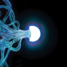 Elephant Tree (CD / Album Digipak)