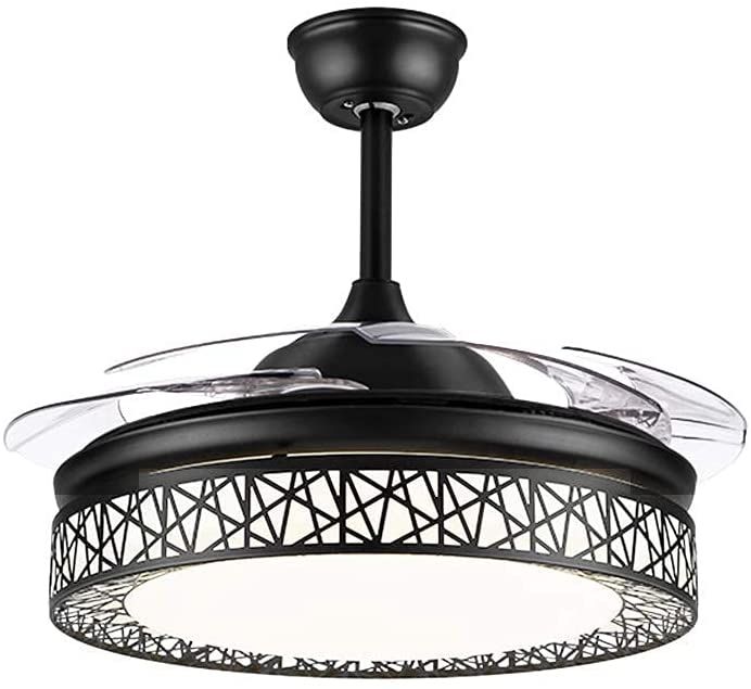 Bird Nest invisible blade modern black ceiling fan MRUL Shop Today. Get it Tomorrow
