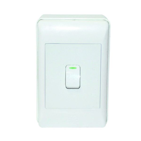 ACDC - 1-lever 1-way White Switch 2x4 C/w Surface Box