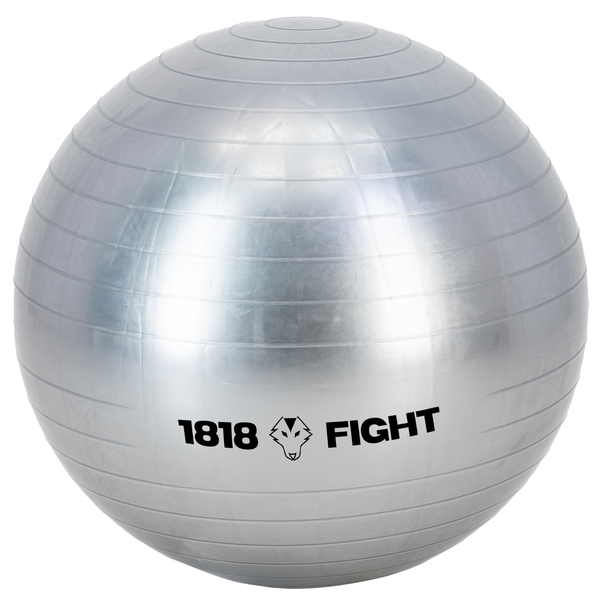 Exercise Ball - Core Strength and Flexibility