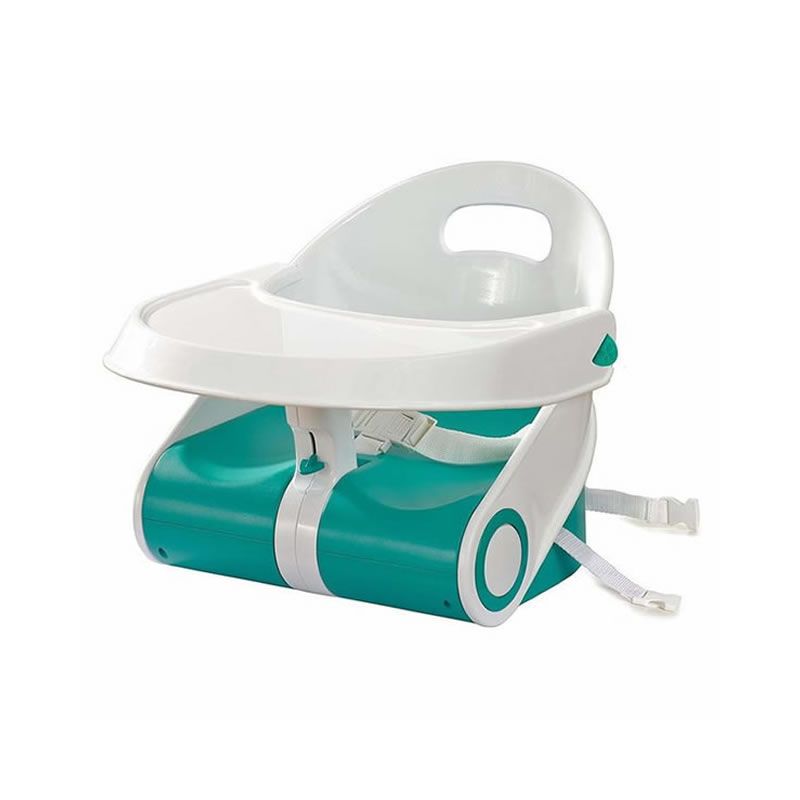 child booster seat florida