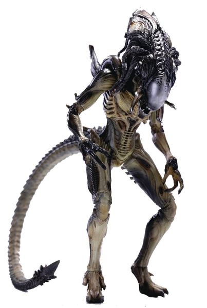 AVPR Predalien PX 1/18 Scale Figure
