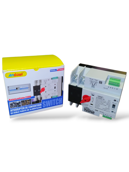 Dual Automatic Transfer Power Converter Switch