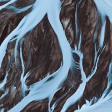 Everything (CD / Album)