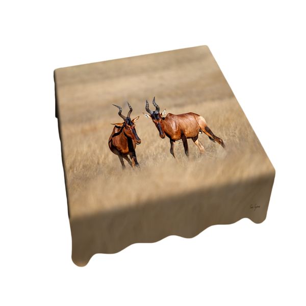 Red Hartebeest Square Tablecloth by Fanie Heymans