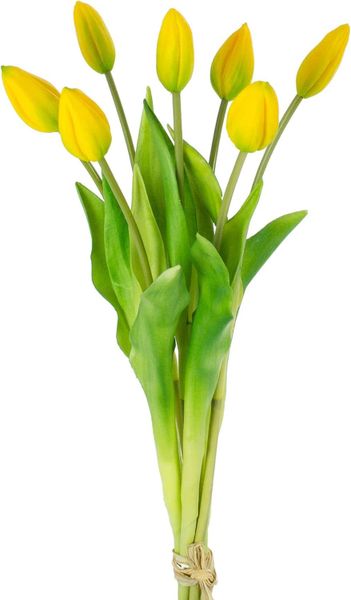 Yellow Tulip Mini Bush 7 Bunch