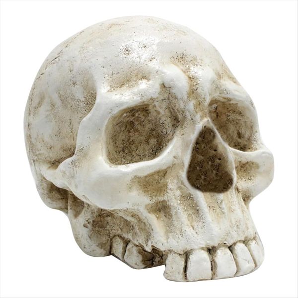 Skull Decoration Skull Day Of The Dead Human Skull Resin Model Art