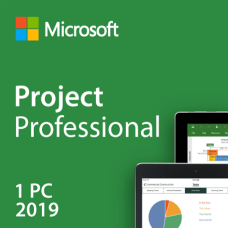 Ms Project Professional 2019 Buy Online In South Africa Takealot Com