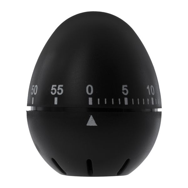 Regent Egg Timer Abs Plastic Black