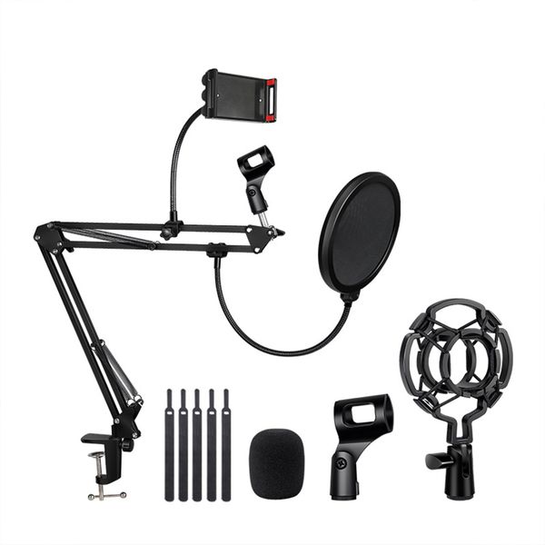 Microphone Stand Mic Boom Arm Set, With Shock Mount Pop Filter