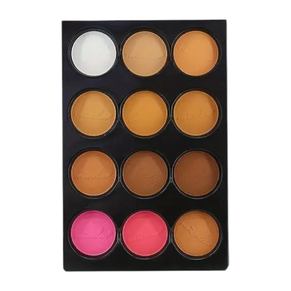 12 in 1 Concealer and Blush Palette