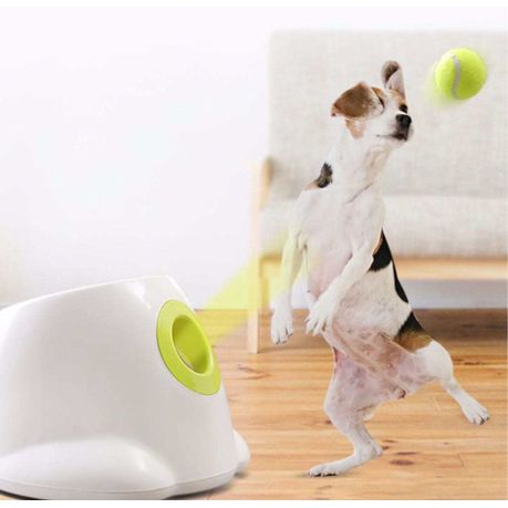 Dog Ball Launcher For Small Breed Dogs Shop Today. Get it Tomorrow takealot